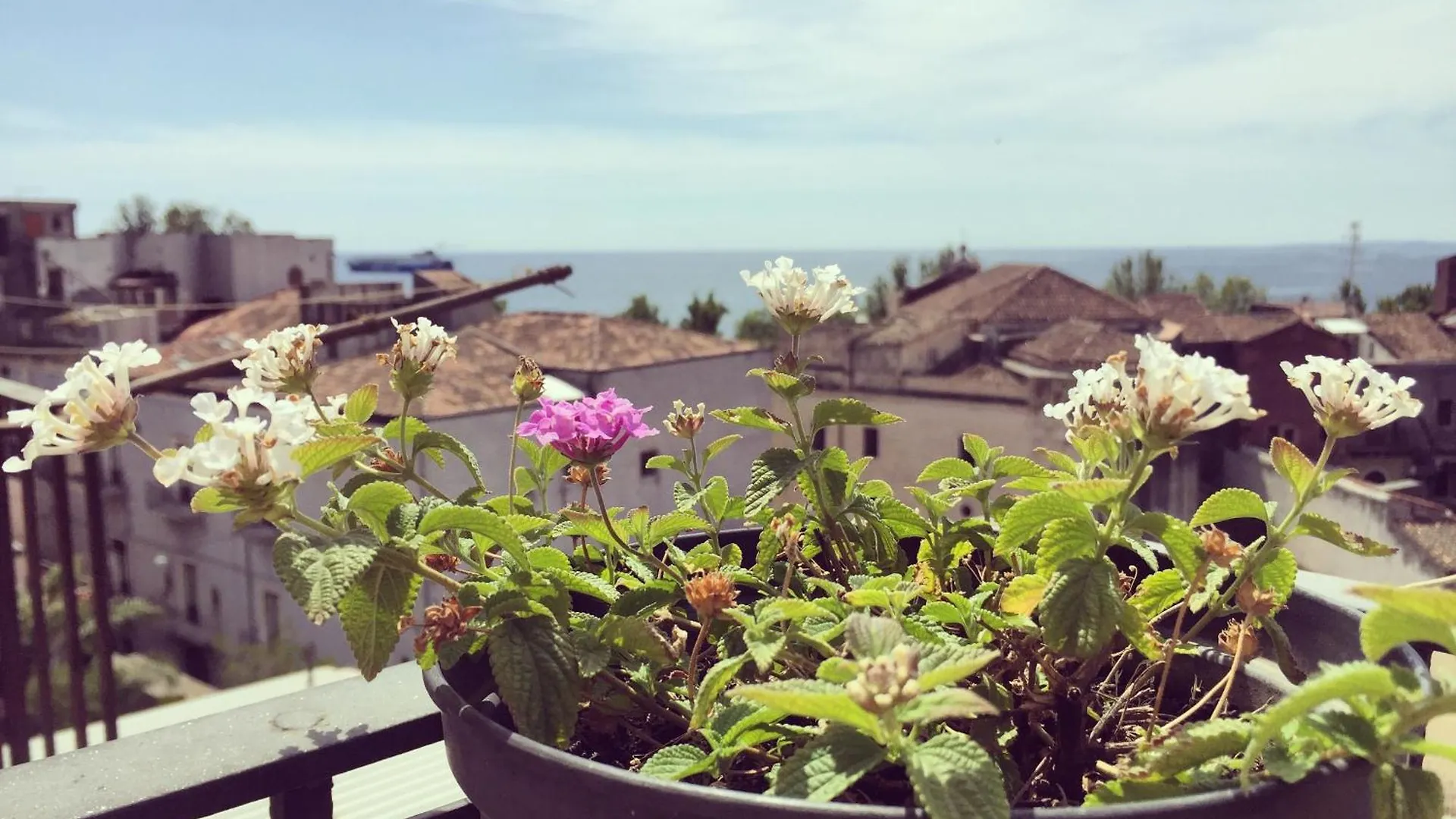 Stanza Sul Mare Apartment Catania 0*,